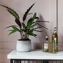 Graham & Green Outdoor Dining|Kitchen Accessories<Antique Brass Bottle Holder