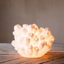 Graham & Green Table Lamps<Arbuscular Coral Lamp