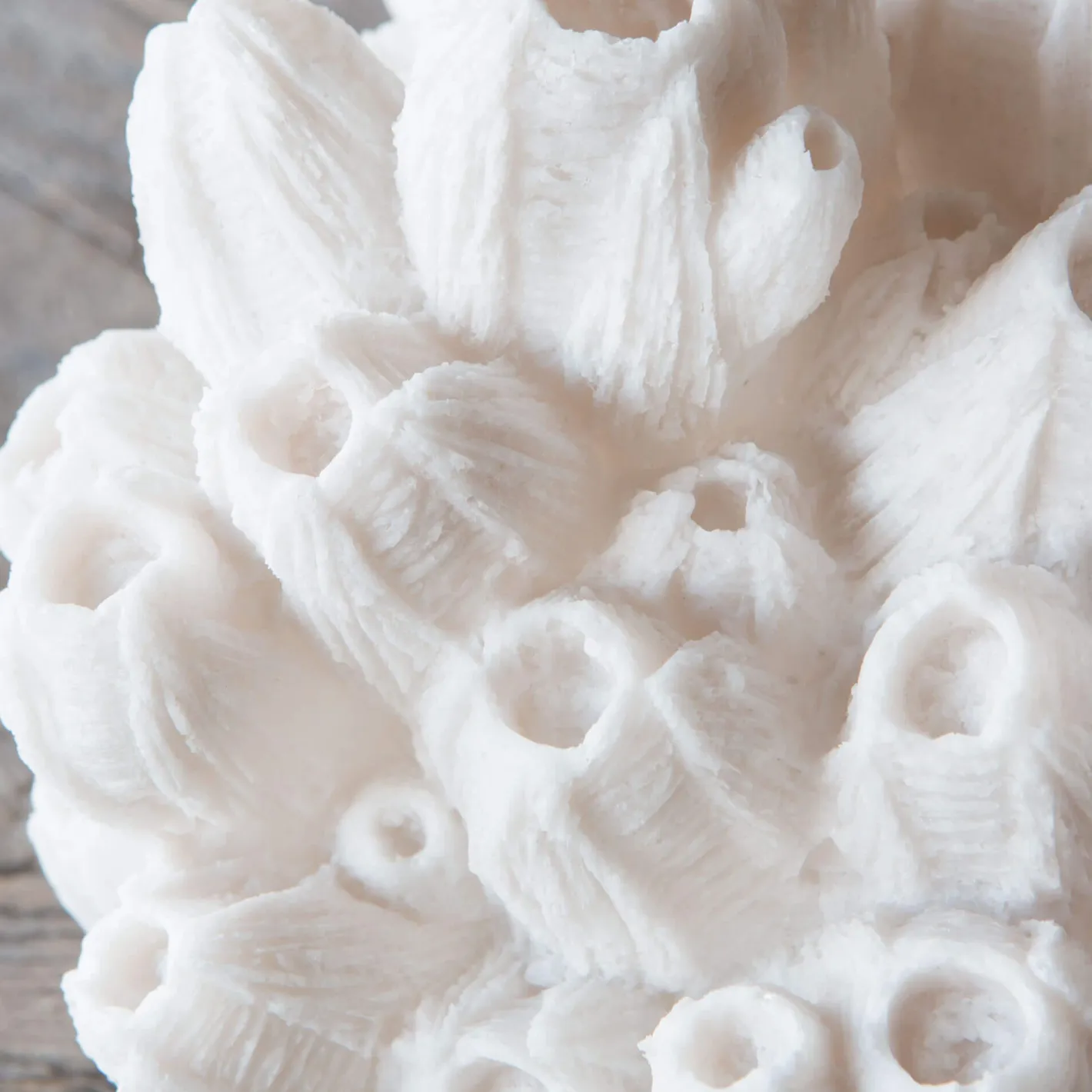 Graham & Green Table Lamps<Arbuscular Coral Lamp