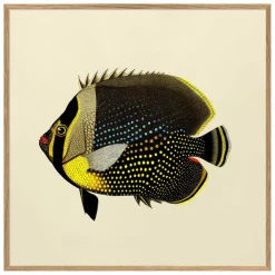Graham & Green Prints & Wall Art<Black Fish Print with Oak Frame