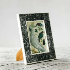 Graham & Green Photo Frames<Black Shagreen Bone Frame