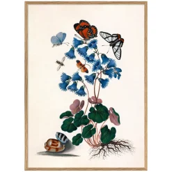 Graham & Green Prints & Wall Art<Butterflies and Blue Print with Oak Frames