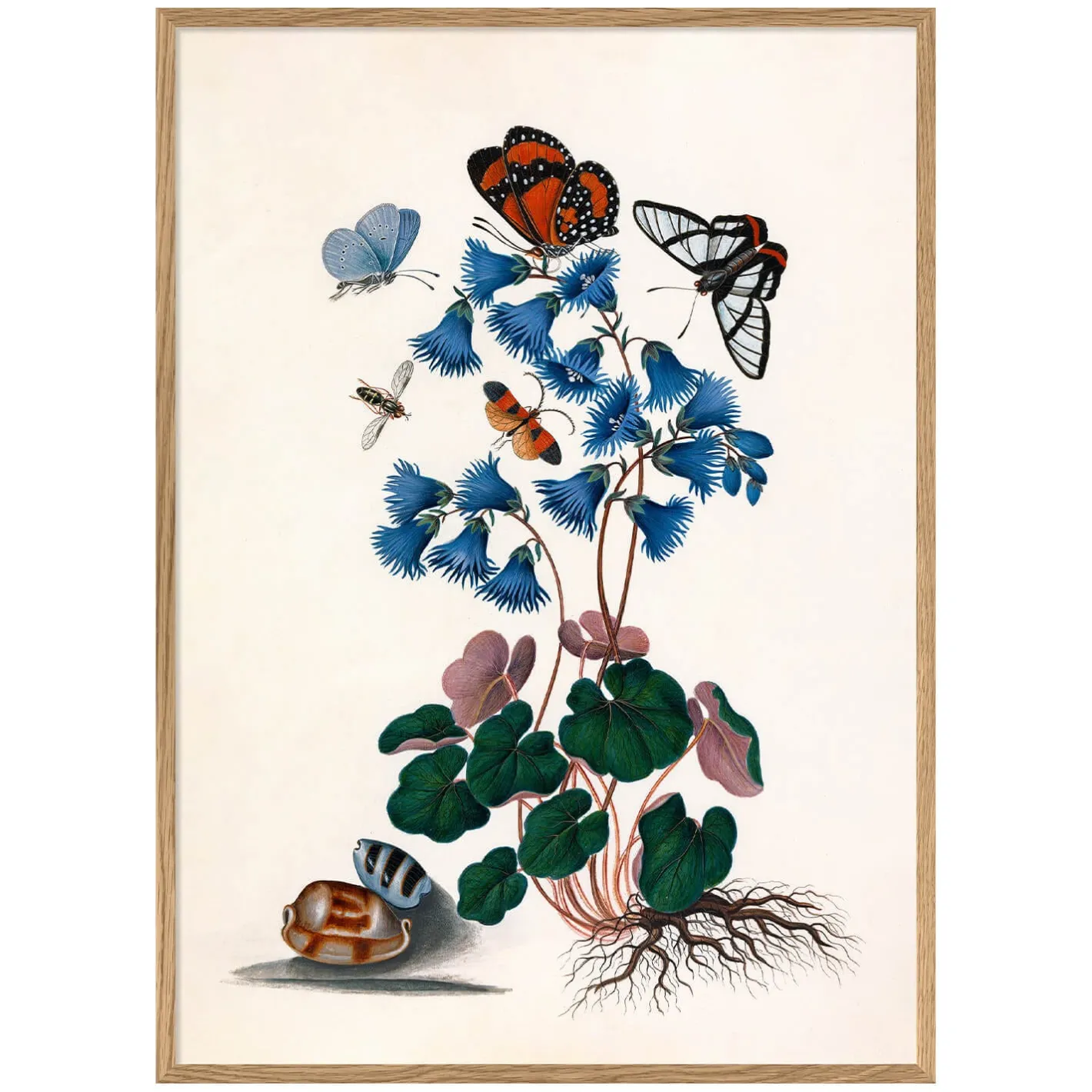 Graham & Green Prints & Wall Art<Butterflies and Blue Print with Oak Frames