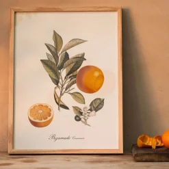 Graham & Green Prints & Wall Art<Crowned Bitter Orange Print with Oak Frame