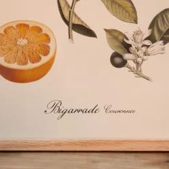 Graham & Green Prints & Wall Art<Crowned Bitter Orange Print with Oak Frame