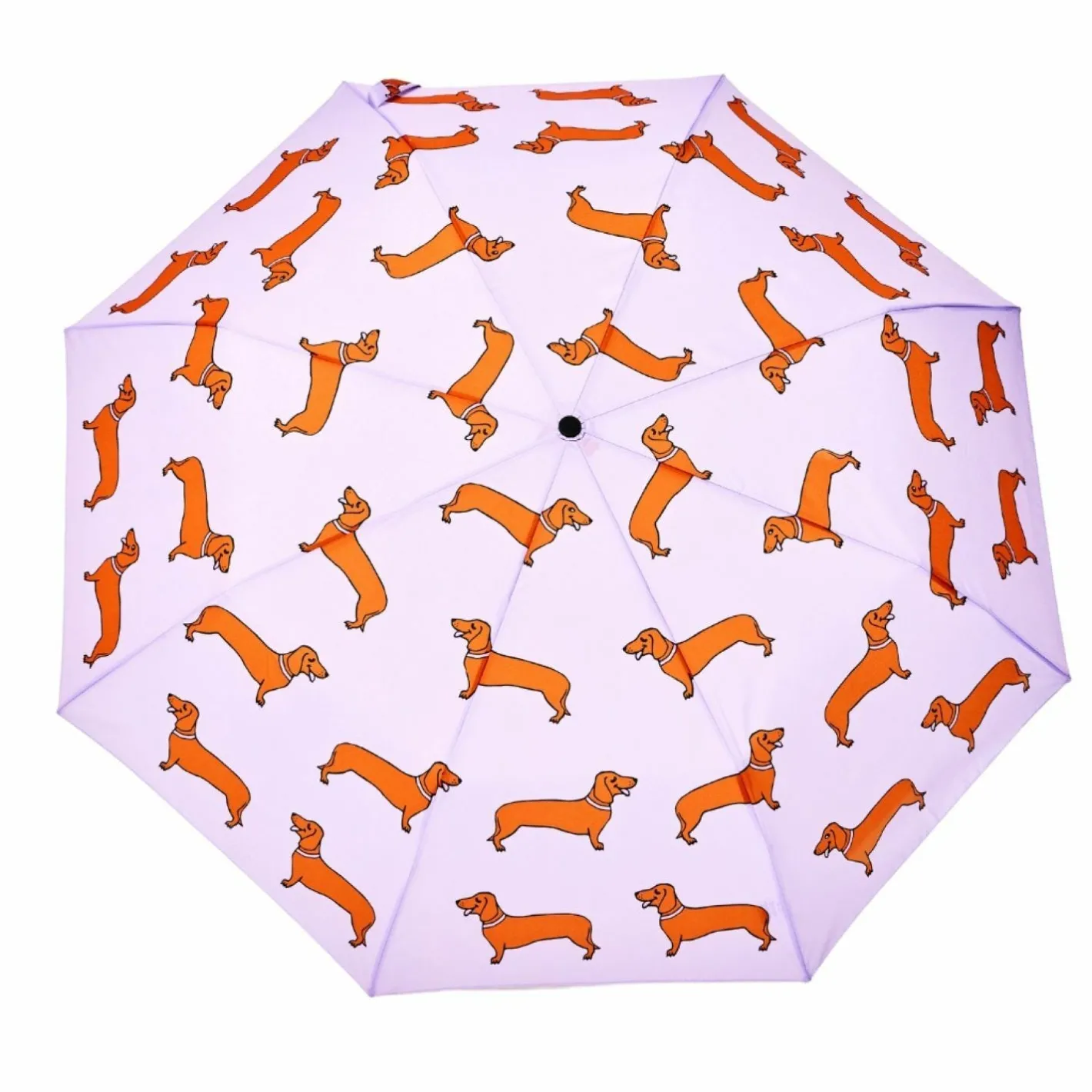 Graham & Green Umbrellas<Dachshund Purple Duck Umbrella