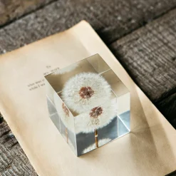Graham & Green Bookends & Paperweights<Dandelion Paperweight