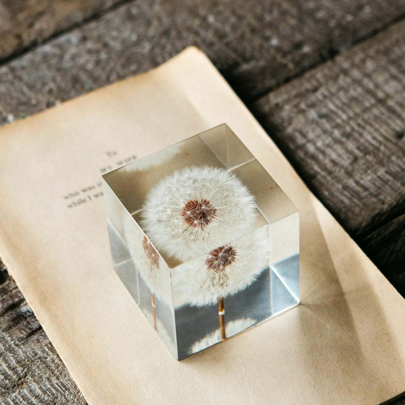 Graham & Green Bookends & Paperweights<Dandelion Paperweight