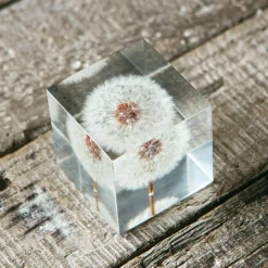 Graham & Green Bookends & Paperweights<Dandelion Paperweight