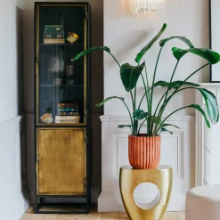 Graham & Green Cabinets & Cupboards<Dexter Single Glass Display Cabinet