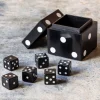 Graham & Green Games & Puzzles<Dice Box with Set of 6 Dice