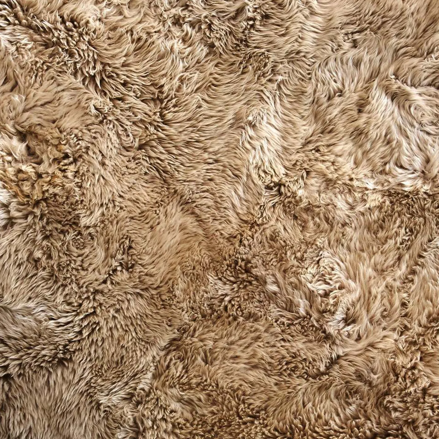 Graham & Green Sheepskins & Hides<Extra Large Quad Oyster Sheepskin