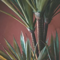 Graham & Green Faux Flowers<Faux Yucca Plant