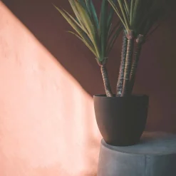 Graham & Green Faux Flowers<Faux Yucca Plant