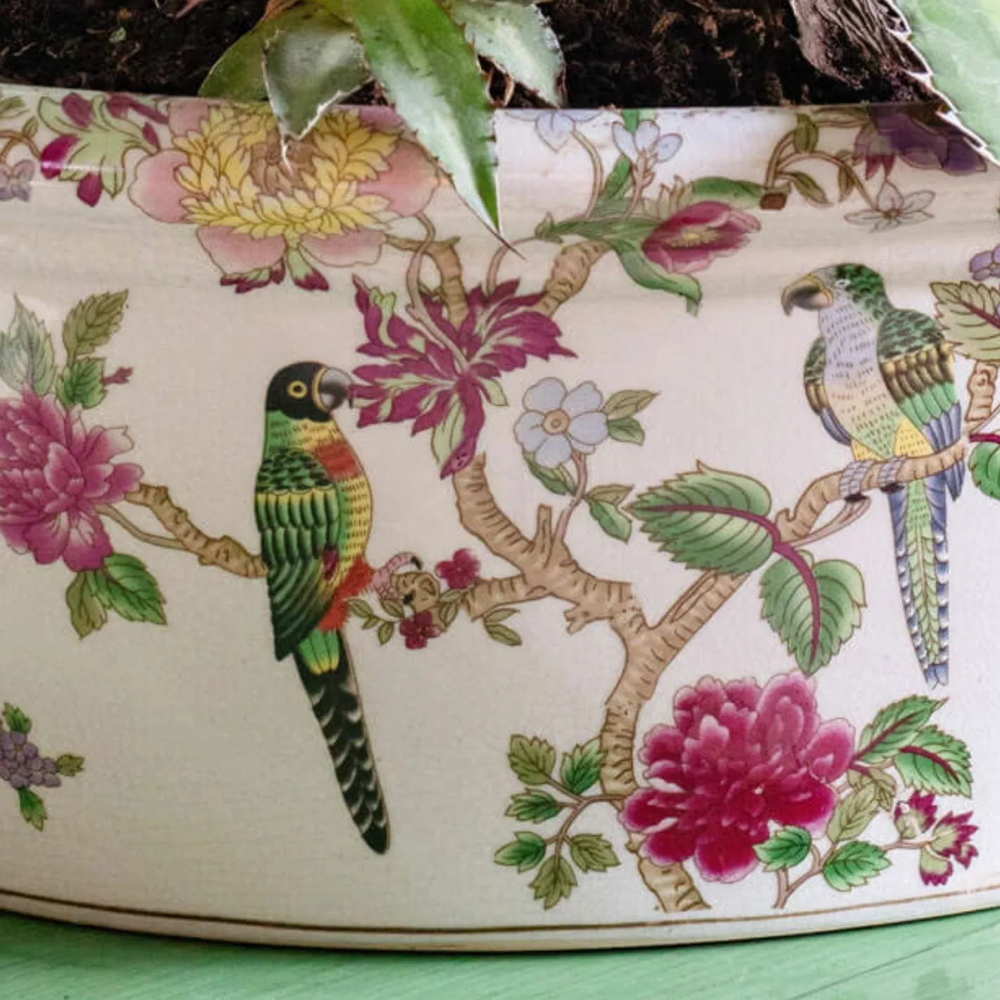 Graham & Green Vases & Plant Pots<Flowers and Parrots Plant Pot