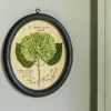 Graham & Green Prints & Wall Art<Framed Annabelle Pressed Flowers