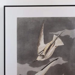 Graham & Green Prints & Wall Art<Framed Birds in Flight Print