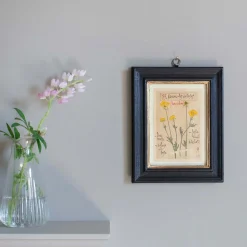 Graham & Green Prints & Wall Art<Framed Ranunculus Pressed Flowers