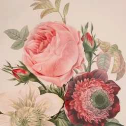 Graham & Green Prints & Wall Art<Framed Rose Anemonastrum Clematis Print