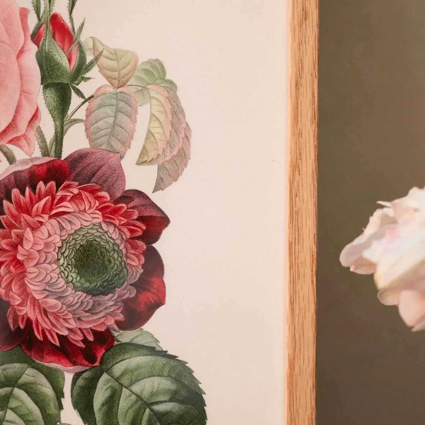 Graham & Green Prints & Wall Art<Framed Rose Anemonastrum Clematis Print
