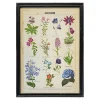 Graham & Green Prints & Wall Art<Framed Vintage Flowers Print