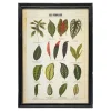 Graham & Green Prints & Wall Art<Framed Vintage Leaves Print
