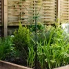 Graham & Green Garden Lights|Outdoor Lights<Green Dandelion Light Medium