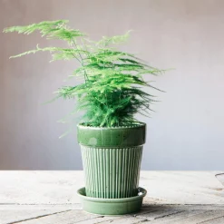 Graham & Green Vases & Plant Pots<Green Ribbed Glazed Vase