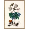 Graham & Green Prints & Wall Art<Greens and Butterflies Print with Oak Frames