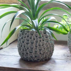 Graham & Green Vases & Plant Pots<Grey Shell Plant Pots