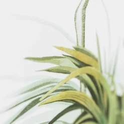 Graham & Green Prints & Wall Art<Heron Print