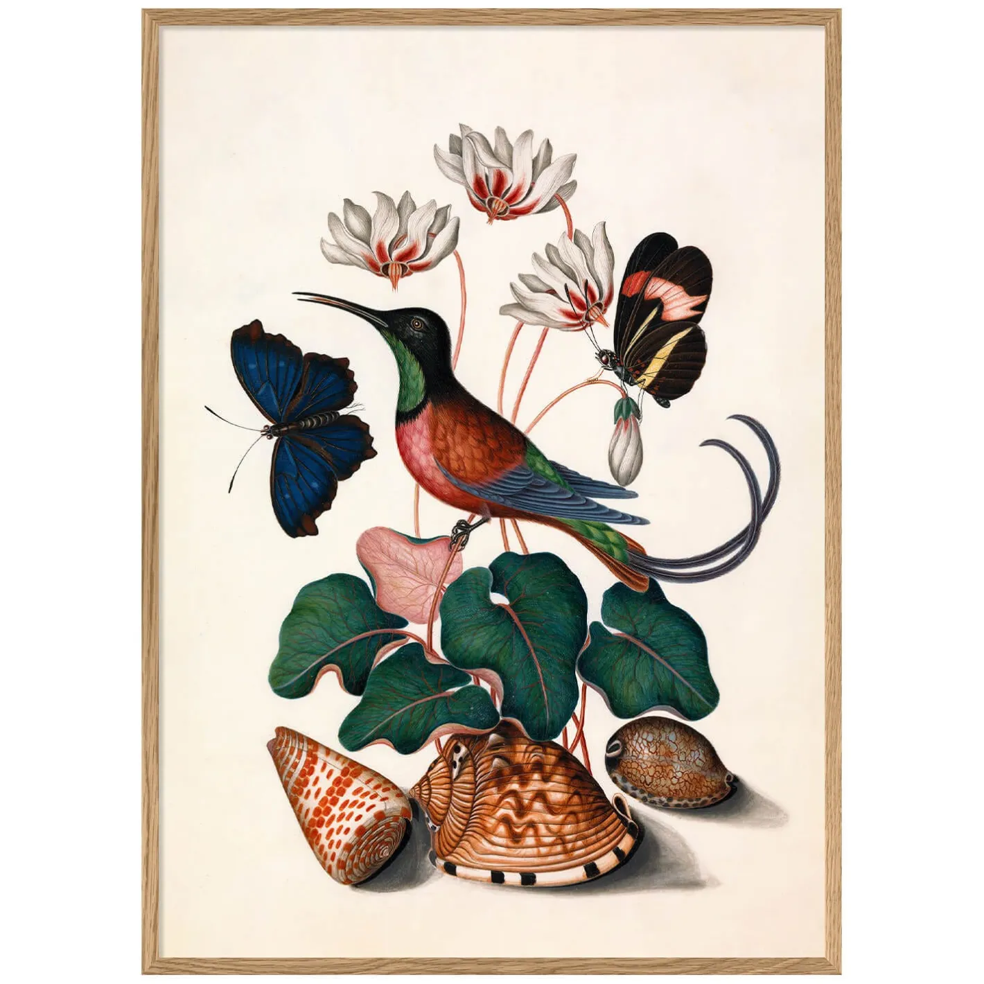 Graham & Green Prints & Wall Art<Hummingbird and Flowers Print with Oak Frames