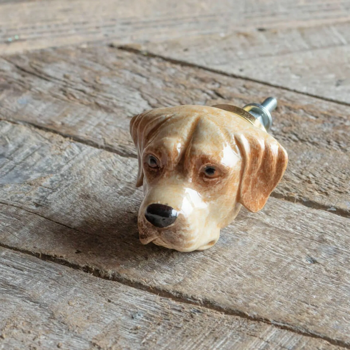 Graham & Green Knobs & Handles<Labrador Ceramic Knob