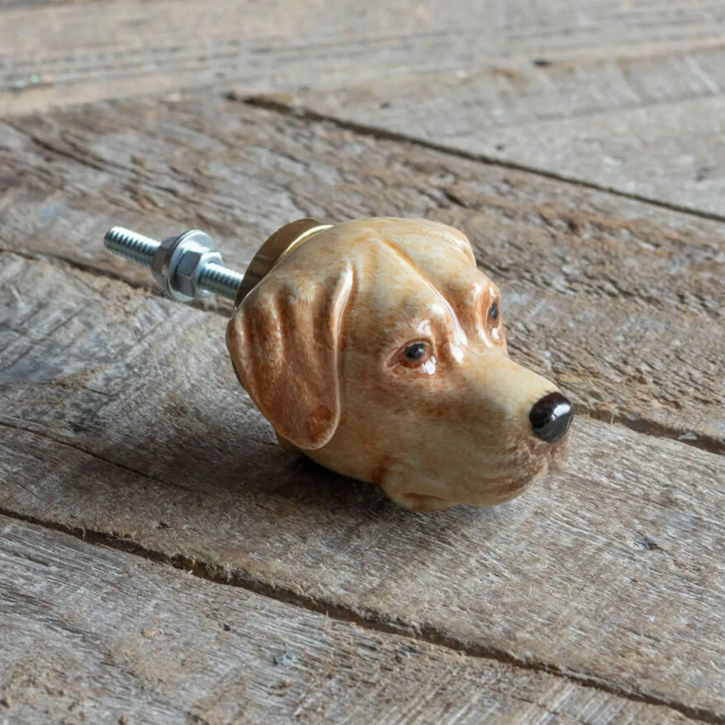 Graham & Green Knobs & Handles<Labrador Ceramic Knob