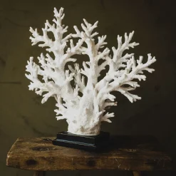 Graham & Green Decorative Accessories<Large Faux White Coral Tree