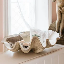 Graham & Green Decorative Accessories<Large Resin Clam Shell