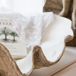Graham & Green Decorative Accessories<Large Resin Clam Shell