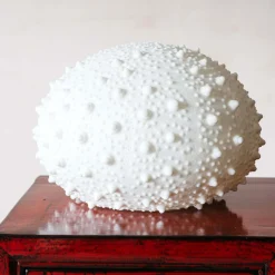 Graham & Green Table Lamps<Large Urchin Lamp