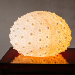 Graham & Green Table Lamps<Large Urchin Lamp
