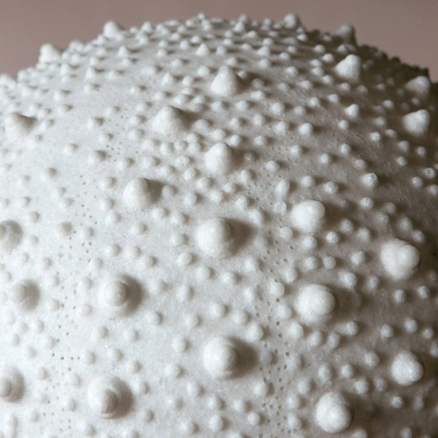 Graham & Green Table Lamps<Large Urchin Lamp