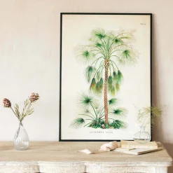 Graham & Green Prints & Wall Art<Medium Framed Exotic Palm Print