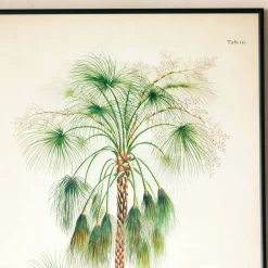 Graham & Green Prints & Wall Art<Medium Framed Exotic Palm Print