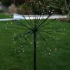 Graham & Green Garden Lights|Outdoor Lights<Medium Outdoor Dandelion Light