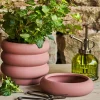 Graham & Green Vases & Plant Pots<Medium Rose Bubble Plant Pot