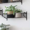 Graham & Green Shelves & Bookcases|Bathroom Accessories<Medium Wire Hanging Shelf
