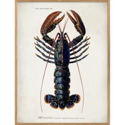 Graham & Green Prints & Wall Art<Oak Framed Lobster Print - 70 x 100cm
