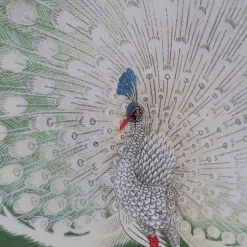 Graham & Green Prints & Wall Art<Oak Framed Peacock Prints