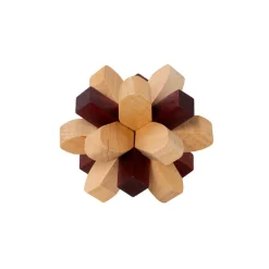 Graham & Green Games & Puzzles<Parietal Lobe Brain Puzzle