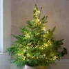 Graham & Green String Lights<Pearl Cluster String Lights