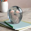 Graham & Green Bookends & Paperweights|Decorative Accessories<Pink Jellyfish Paperweight